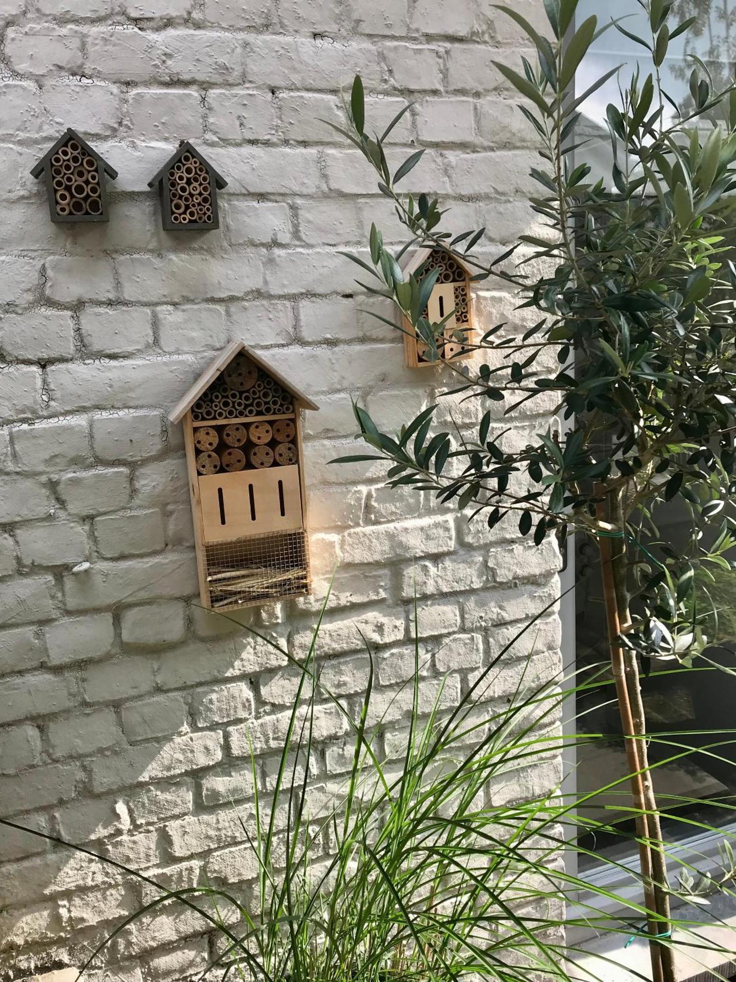 B&B La Ruelle Профондвиль Экстерьер фото